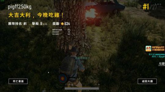 我在斗鱼看pigff直播吃鸡游戏