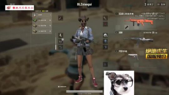 吃鸡游戏新的bug？