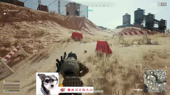 莽夫行为