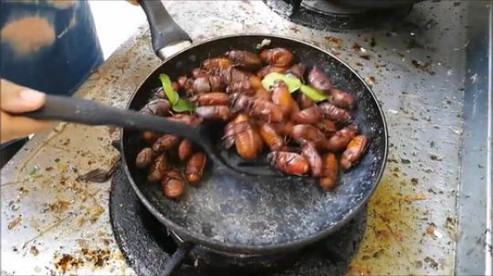 油炸金龟子！ 惊人的亚洲食品