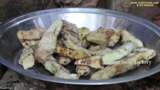 【一代厨神六爷】--让你见识一下印度土豪是怎么做饭的（第一季