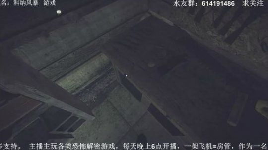 【素年】各种惊悚恐怖游戏，你想看的这都有 2018-05-03 20点场