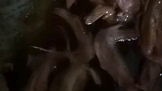 人没在家  停播一段时间