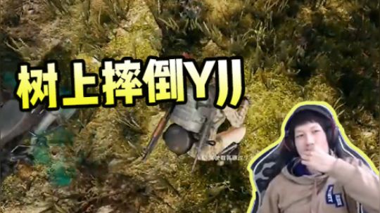 绝地求生YJJ：从树上掉下来会摔死？YJJ亲身为您解答