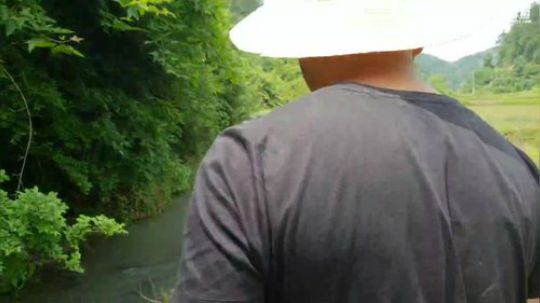 涨水的鱼退水的虾。 2018-05-07 12点场