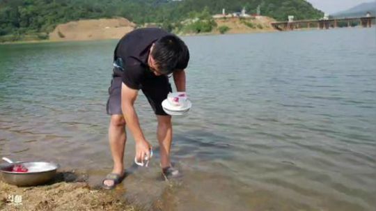 涨水的鱼退水的虾。 2018-05-07 14点场