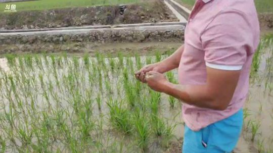 订个小目标扣2斤黄鳝， 2018-05-08 17点场