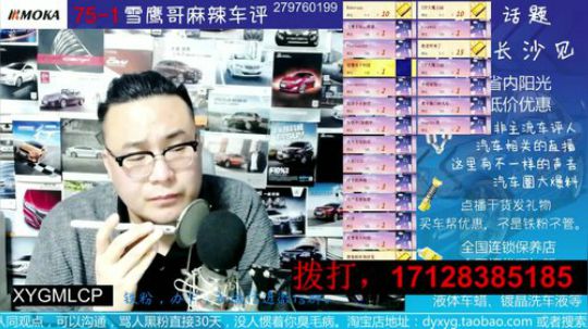 电话：公务员26 175 150 买什么车