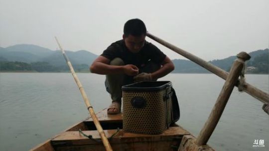 桂鱼钓，大地笼，鱼货多多多 2018-05-09 18点场