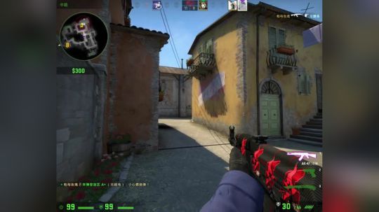 Pomidor :v (Cys. 2018-05-12 10点场