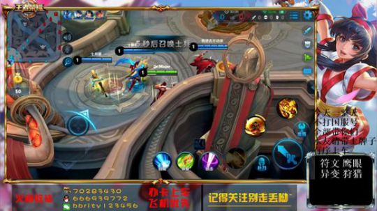 鸟虎双国服 今天带一整天水友 2018-05-05 15点场