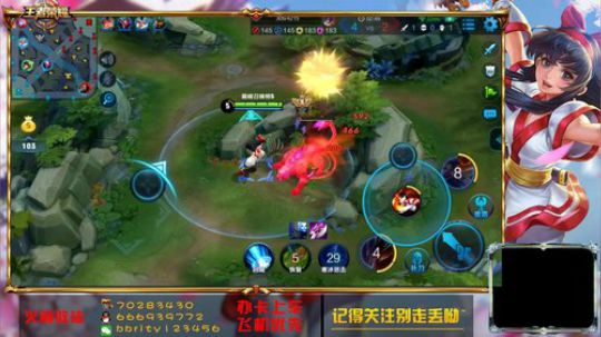 巅峰赛鸟野区制裁 2018-05-08 19点场