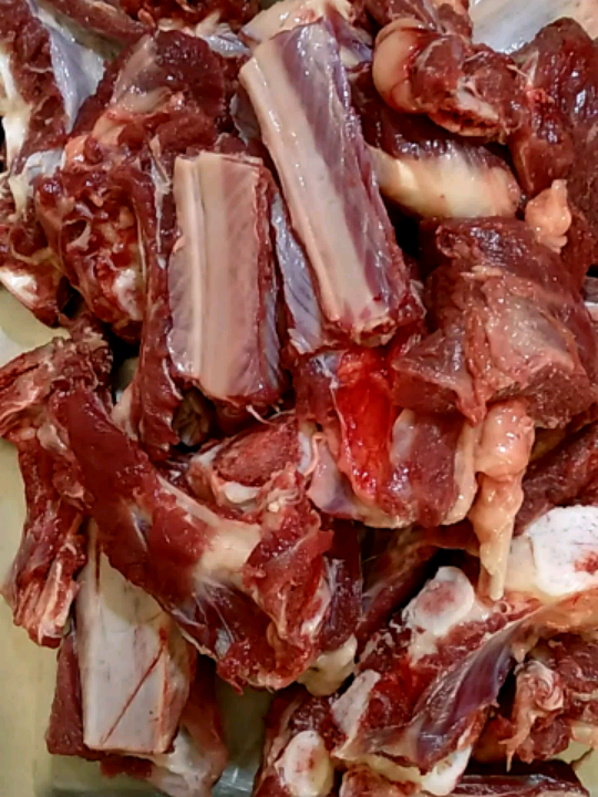 驴排[色][色][色]