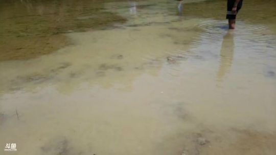 谁是魅力最强王者？ 2018-05-14 12点场