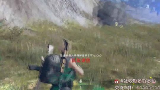 【鱼妹儿】决赛圈遇到这样的队友估计想锤死到地底下