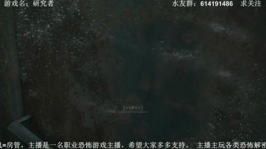 【素年】各种惊悚恐怖游戏，你想看的这都有 2018-05-13 20点场