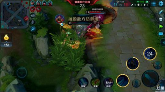 911丶骚白皮皮虾发布了一个斗鱼视频2018-05-16