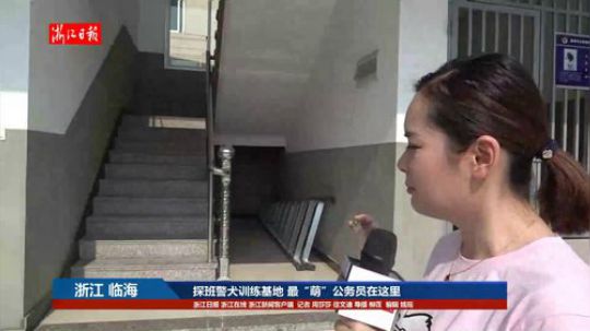 探班警犬训练基地 最“萌”公务员在这里 2018-05-18 07点场