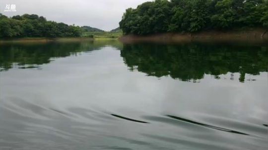 水库激情开始了， 2018-05-20 10点场