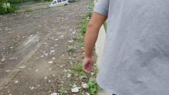 颠颠胜哥老二带着水友户外生活。 2018-05-21 09点场