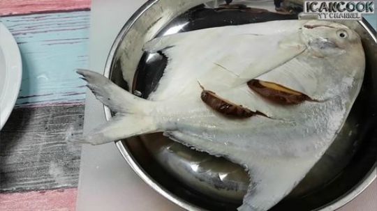 潮州清蒸白鲳鱼