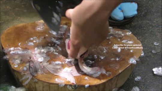 【Street Food Media】美味的煎整鱼，杀鱼途中
