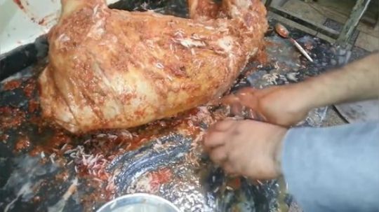 巴铁的BBQ.