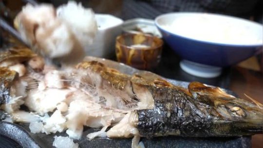 【寡默的美食家】麻布十番《魚可津》海鲜套餐（日语生肉）