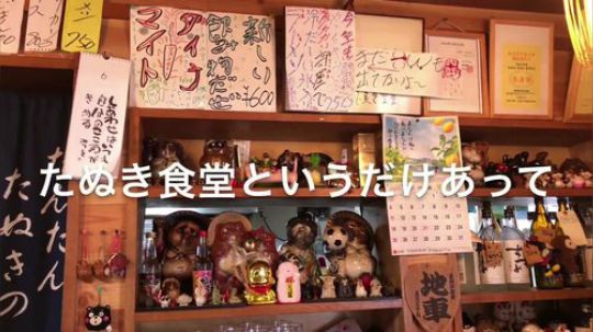 【啰嗦的美食家】《たぬき（狸猫）食堂》猪排丼套餐（日语生肉）