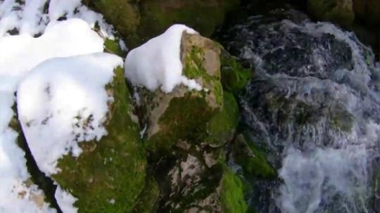 #野外厨房# 冰天雪地烤牛肉！口水哗哗流.