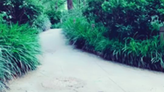 别人的背影都很唯美，我拍出来就像：“为什么追我！我没有急支糖