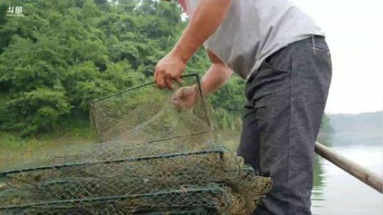 下雨，水库，收笼 2018-05-26 11点场