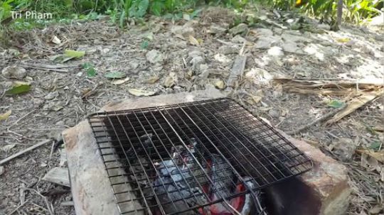 【越南乡下郊野料理】-- 炭烧大虾