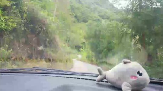 牙签肉？快乐鸡翅？ 2018-05-28 14点场