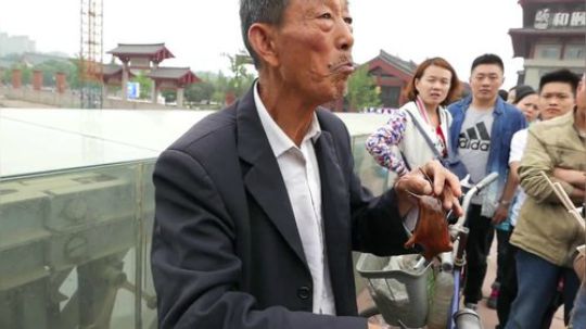中国糖艺术吹动物-老鼠和奶牛