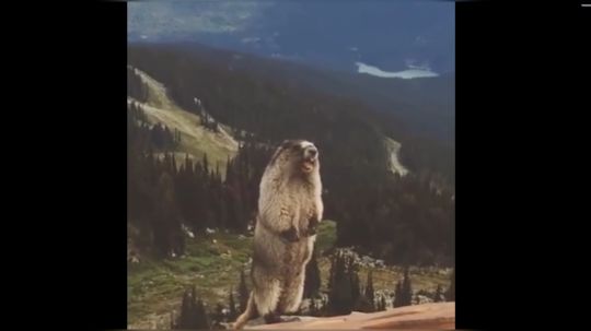 草根后期的PPT开头了解一下