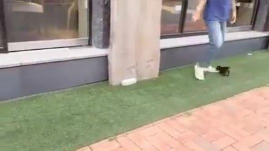 快放朕下来！你没看到朕的小电臀吗？