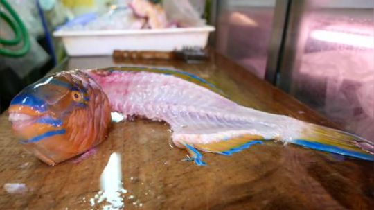 日本街头食品 - 酸甜鹦鹉鱼日本海鲜.