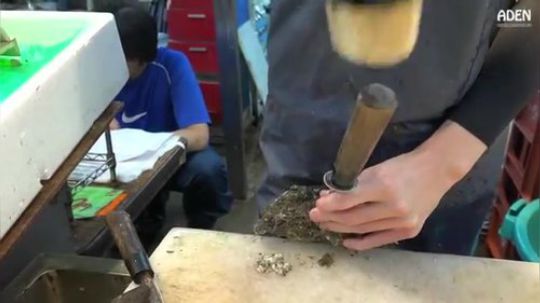 超级牡蛎，喜欢吃海鲜朋友的福利啊！