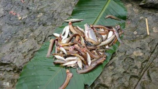 胜哥老二生活第二天。 2018-06-02 10点场