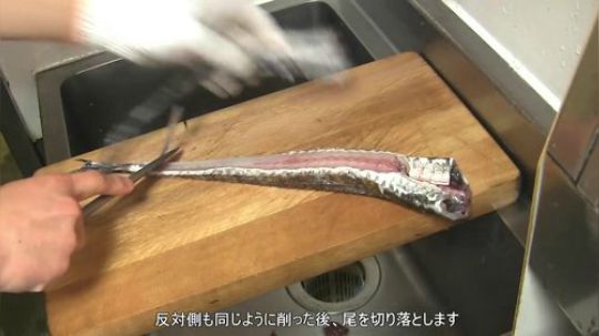 【医生再抢救会】一只美丽的飞鱼做成寿司！
