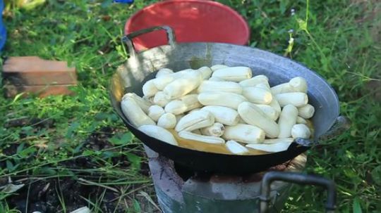 【野炊姐妹】芭蕉的另类吃法，弟弟们闻味赶来
