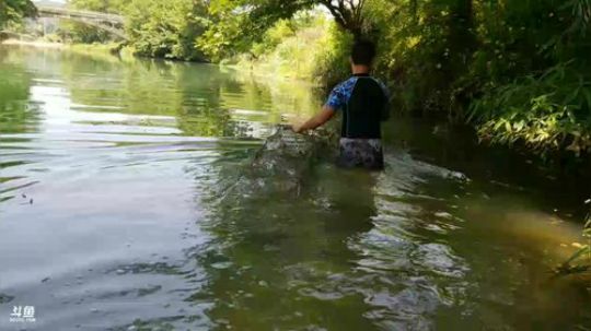 收地笼，谁能获得最终所有鱼获 2018-06-06 11点场