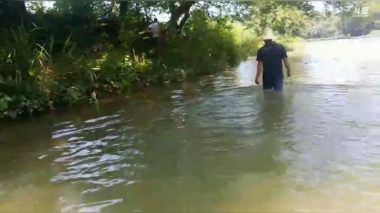 石锤小鱼人＋勾甲鱼 2018-06-07 11点场
