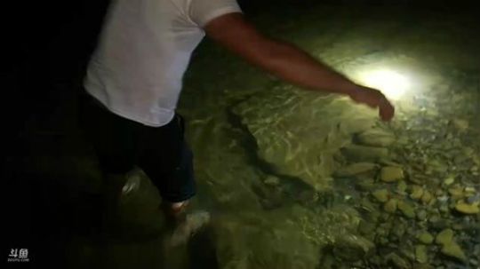 种菜，抓鱼，农家菜 2018-06-06 23点场