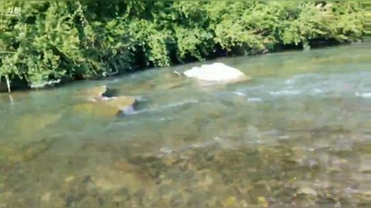 石锤小鱼人＋勾甲鱼 2018-06-07 16点场