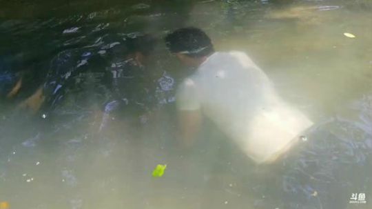 石锤小鱼人＋勾甲鱼 2018-06-07 11点场