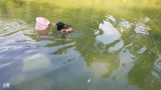 石锤小鱼人＋勾甲鱼 2018-06-07 14点场