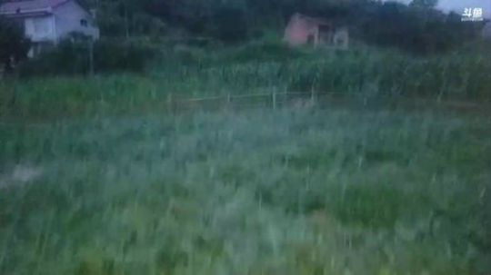 河道潜水徒手摸鱼！鱼获贼给力！ 2018-06-11 19点场