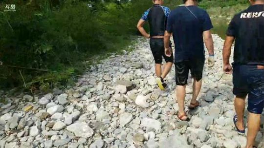 河道潜水徒手摸鱼！鱼获贼给力！ 2018-06-11 15点场